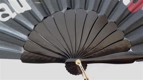 christian dior hand fan